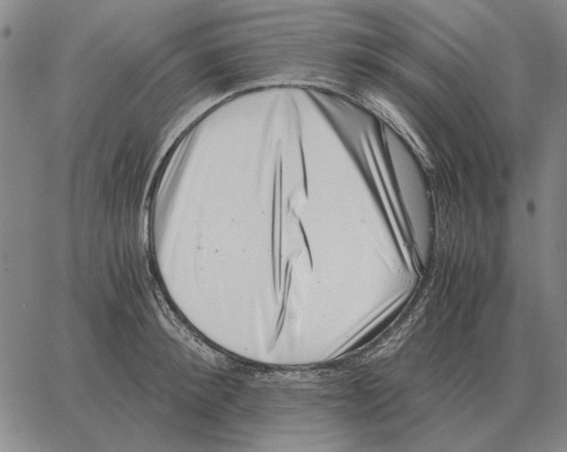 X0000062650900200601181807