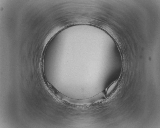 X0000062650901200601181807