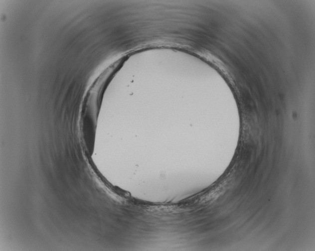 X0000062650902200601181807