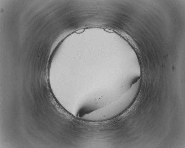 X0000062650904200601181807