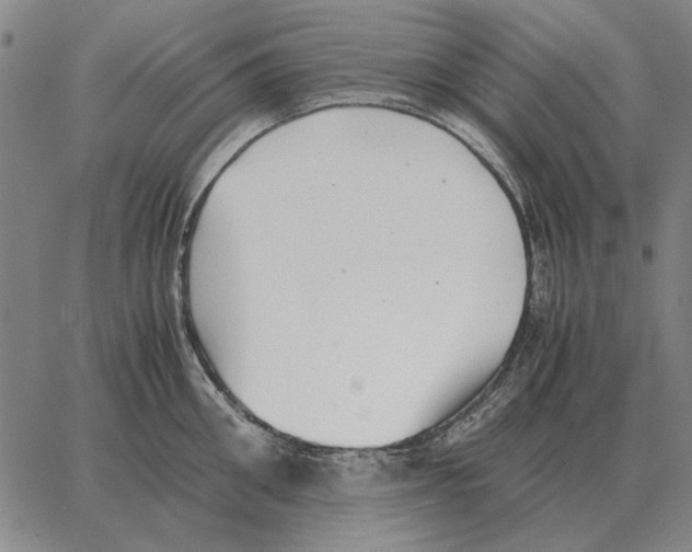 X0000062650906200601181807