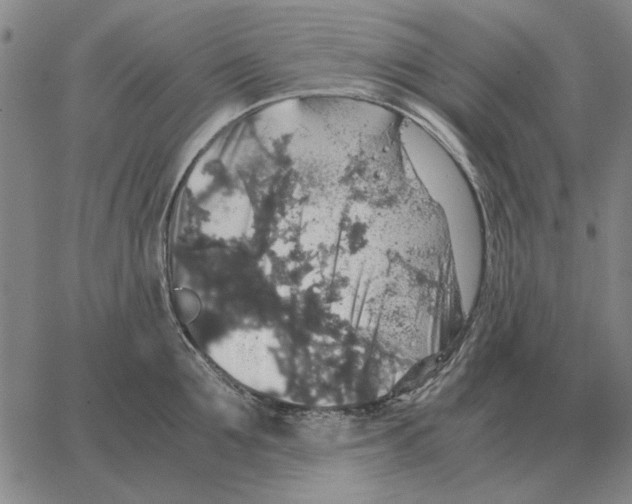 X0000062650907200601181807