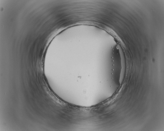 X0000062650908200601181807