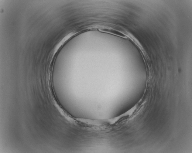 X0000062650909200601181807