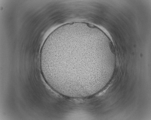 X0000062650911200601181806