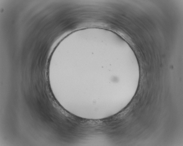 X0000062650912200601181806