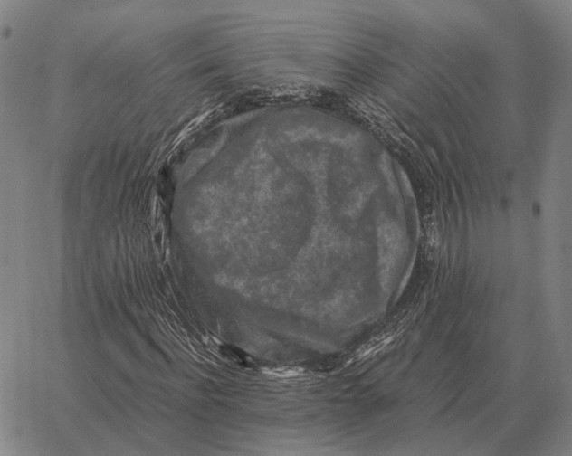 X0000062650916200601181806