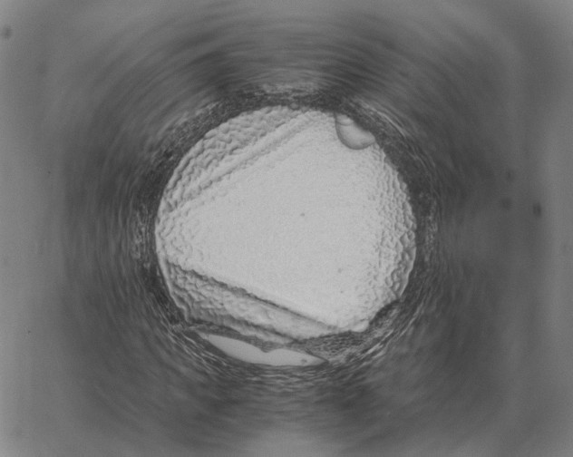 X0000062650917200601181806