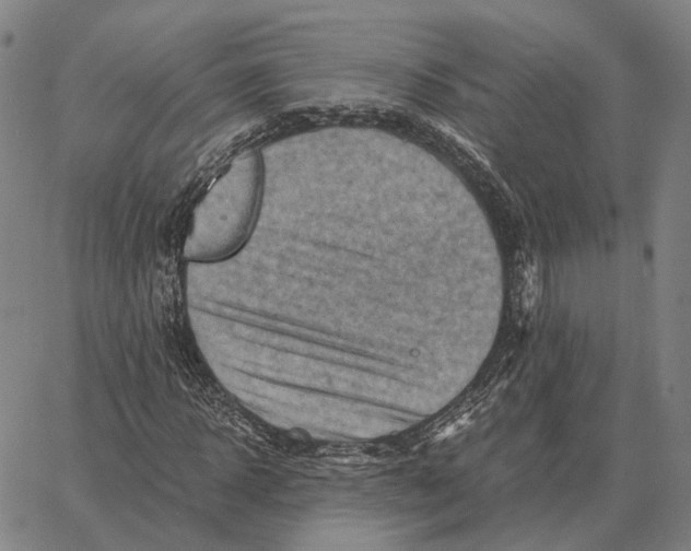 X0000062650918200601181806