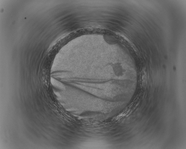 X0000062650919200601181806