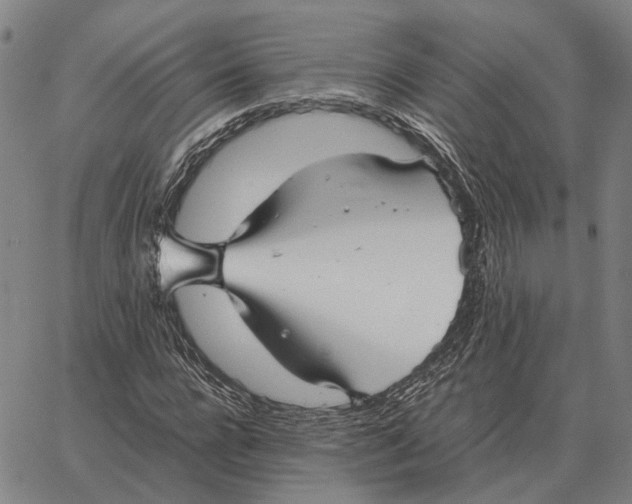 X0000062650920200601181806