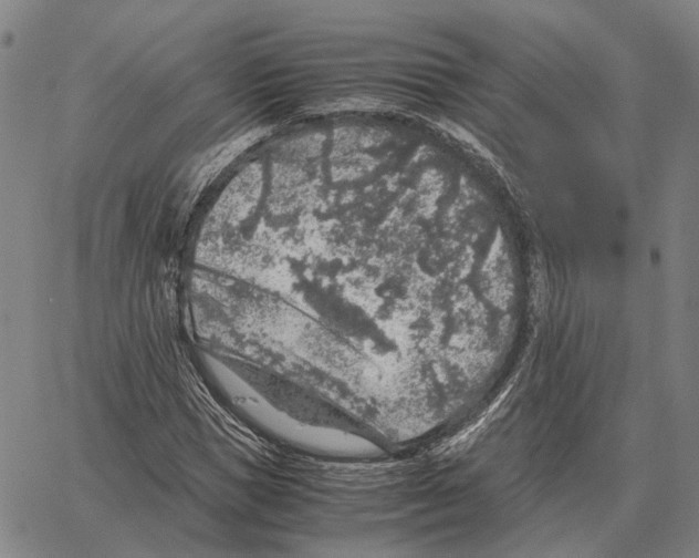 X0000062650921200601181806