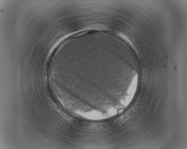 X0000062650923200601181806