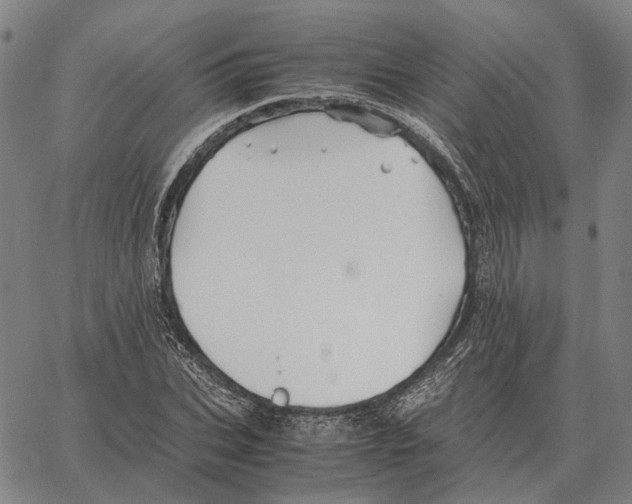 X0000062650927200601181806