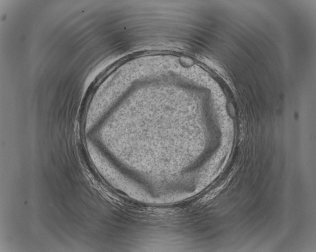 X0000062650928200601181806