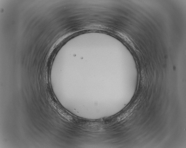 X0000062650931200601181806