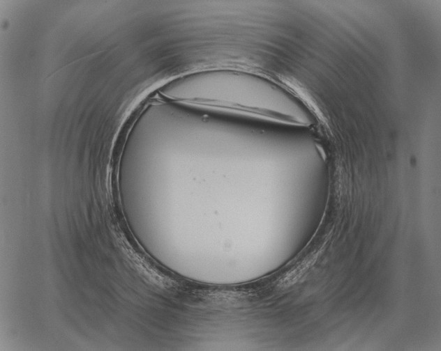 X0000062650932200601181806