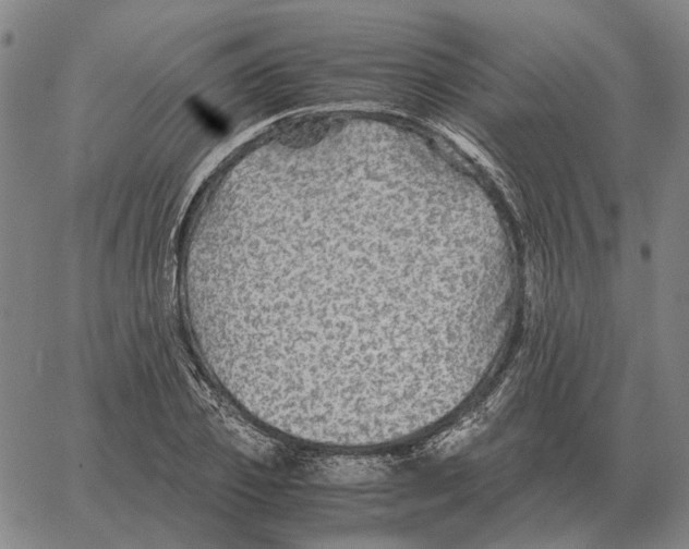 X0000062650933200601181806