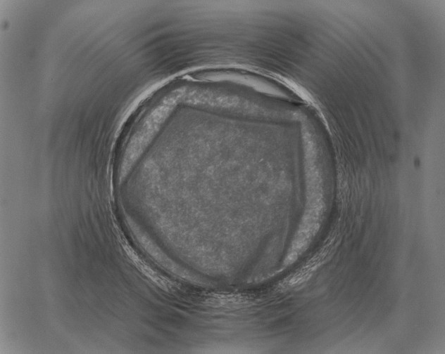 X0000062650935200601181806