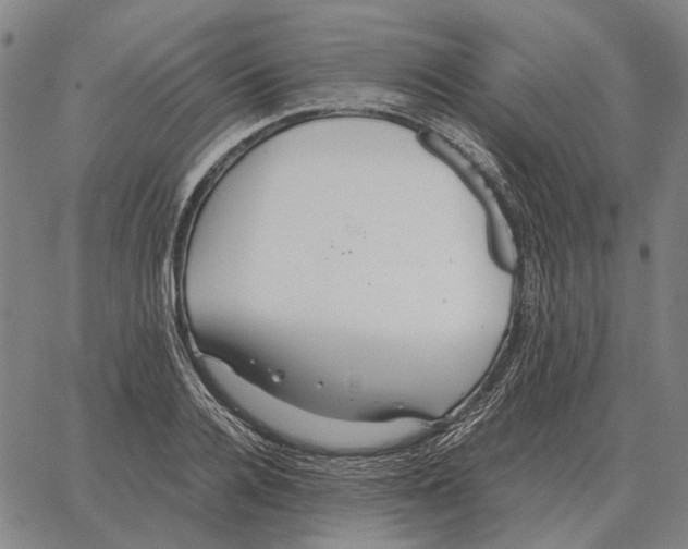 X0000062650936200601181806