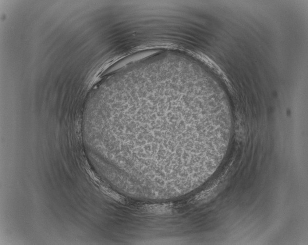 X0000062650937200601181806