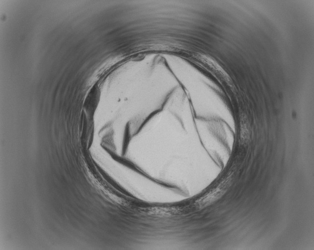 X0000062650938200601181806