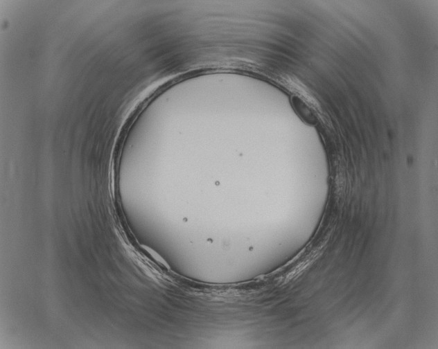 X0000062650940200601181806