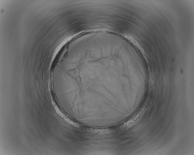 X0000062650941200601181806