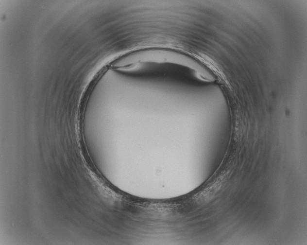 X0000062650942200601181806