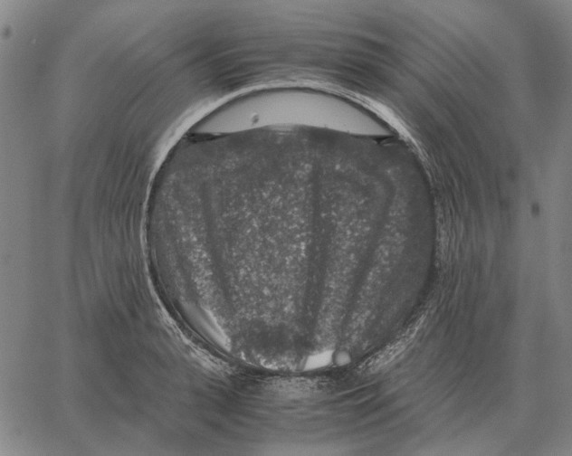 X0000062650943200601181806