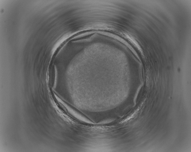 X0000062650944200601181806