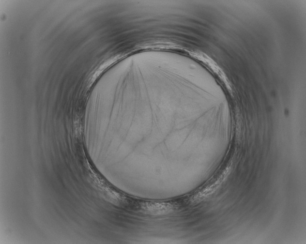 X0000062650945200601181806