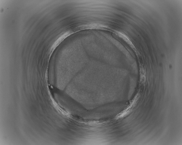 X0000062650946200601181806