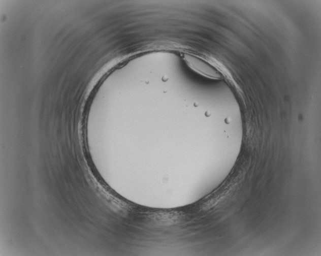 X0000062650947200601181806