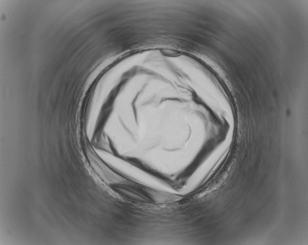 X0000062650949200601181806