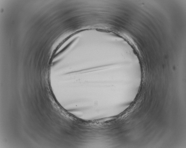 X0000062650952200601181806