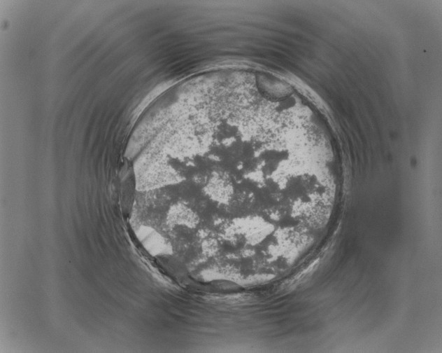 X0000062650953200601181806