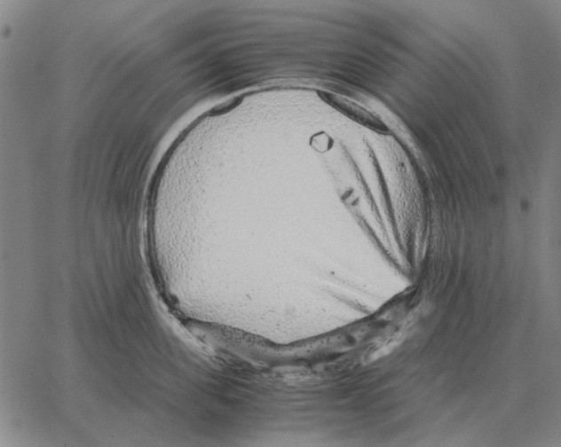 X0000062650955200601181806