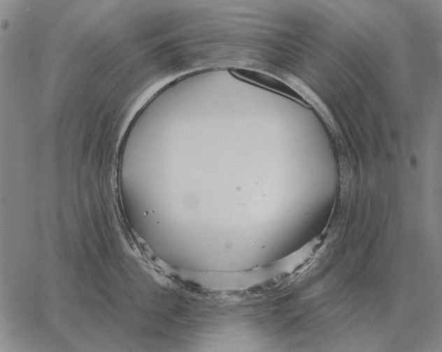 X0000062650956200601181806