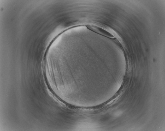 X0000062650958200601181806