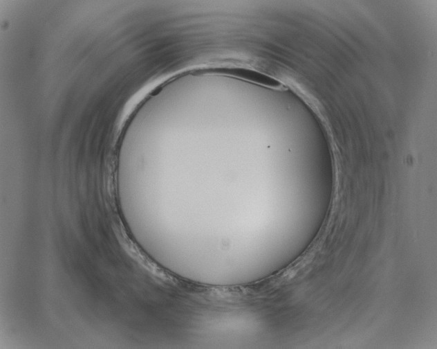 X0000062650960200601181806