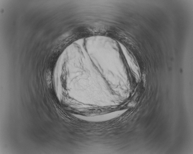 X0000062650963200601181806