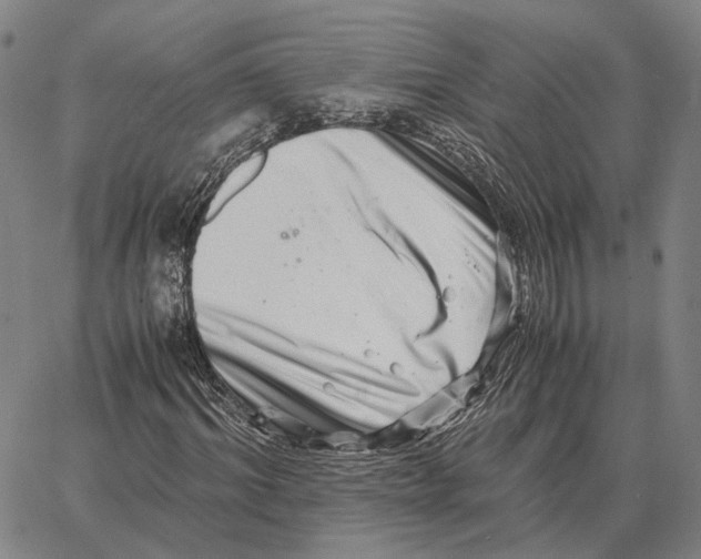 X0000062650964200601181806