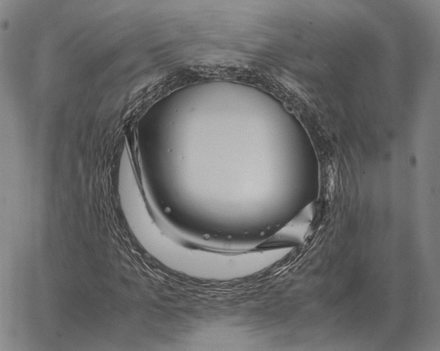 X0000062650965200601181806