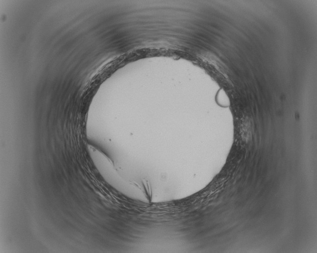 X0000062650968200601181806