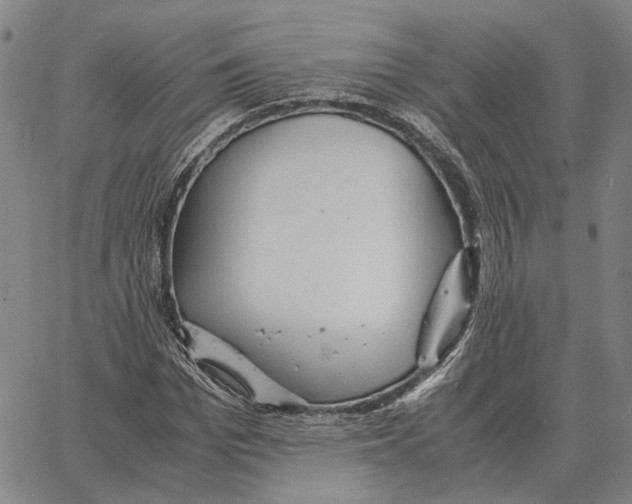 X0000062650969200601181806