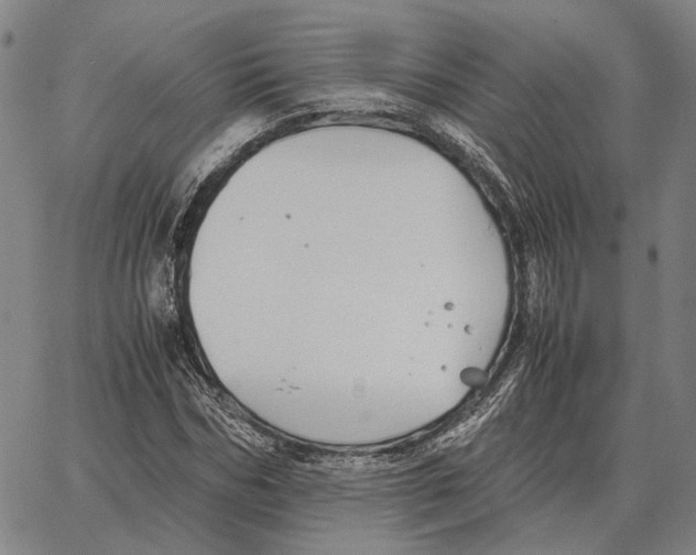 X0000062650970200601181806