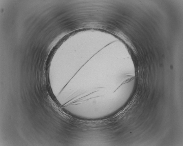 X0000062650972200601181806