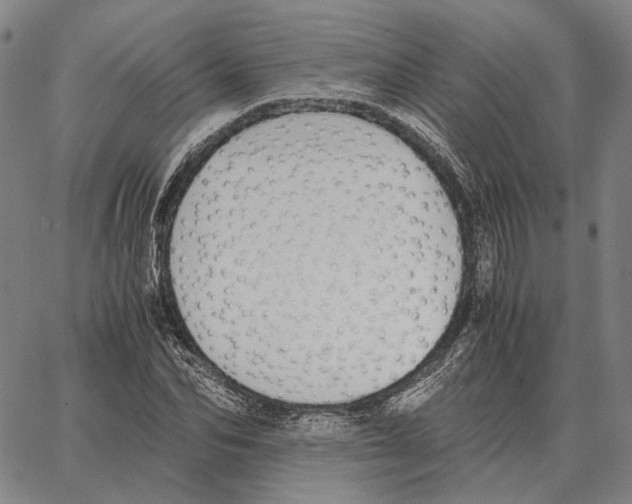 X0000062650974200601181805