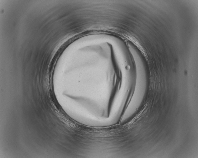 X0000062650976200601181805